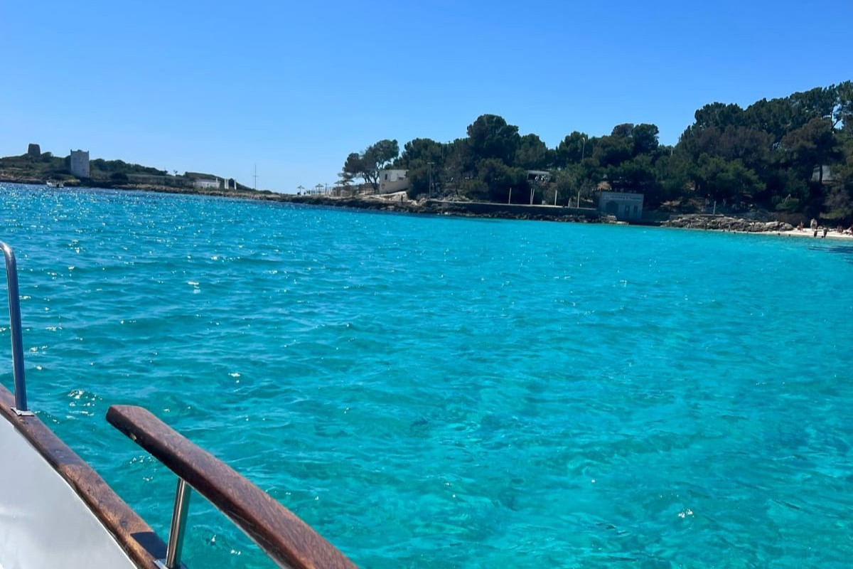 Imagen de WhatsApp 2025-07-17 a las 18.31.42_b9968bca